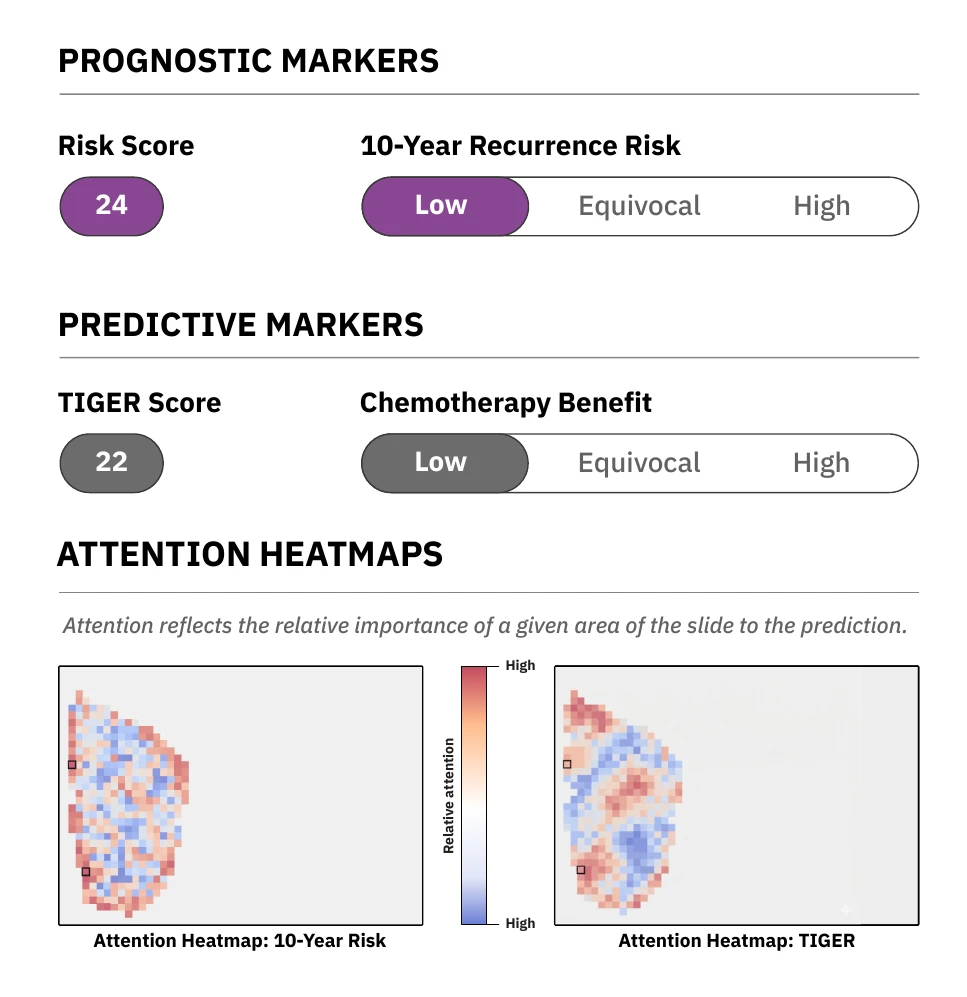 Sample BreastDX report showing prognostic and predictive markers with attention heatmaps